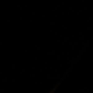 Meet your Posher, Max